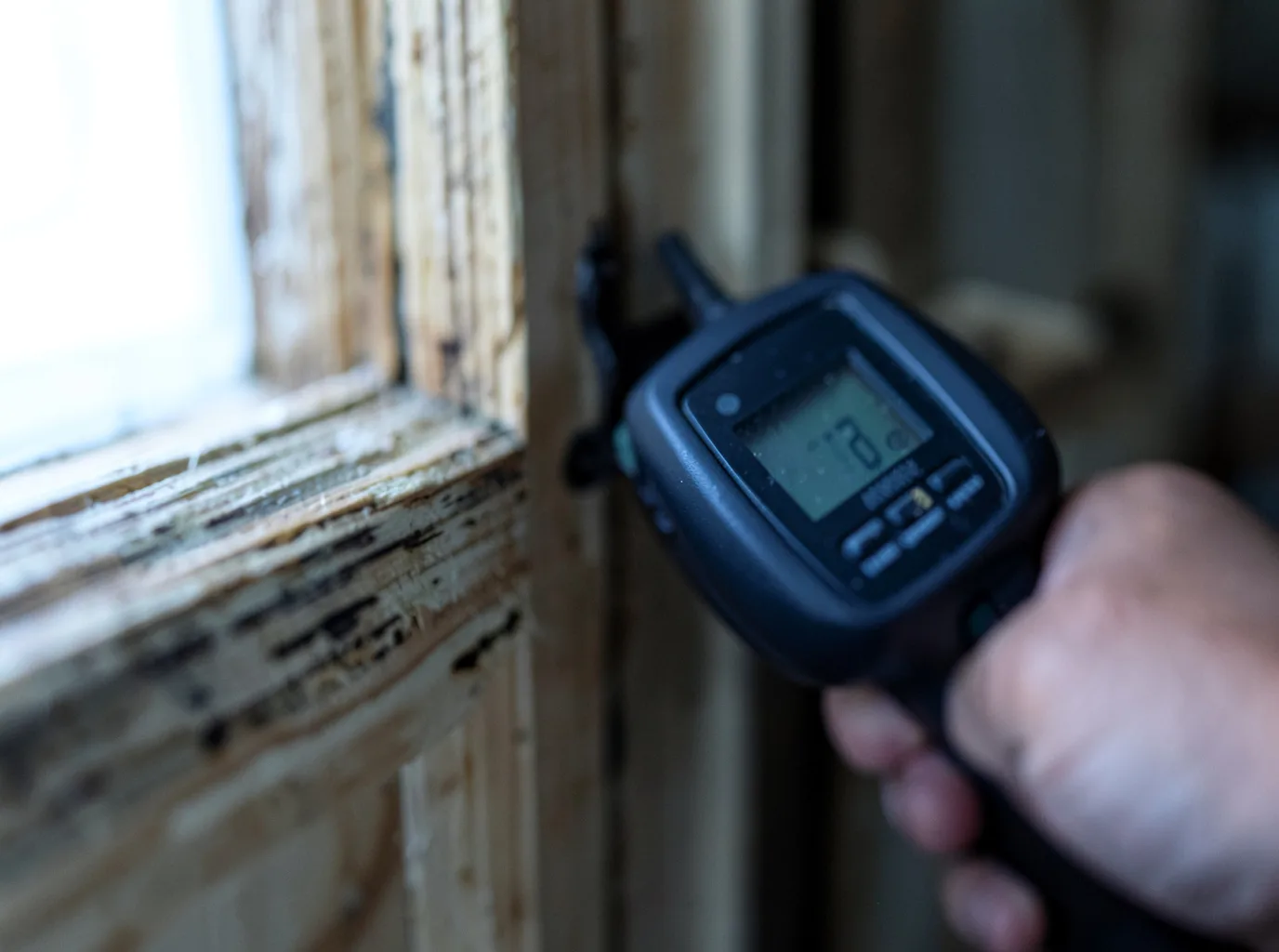 Burst Pipe Water Damage in San Luis, AZ